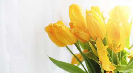 A bouquet of red tulips in a vase on the windowsill. A gift for 