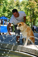 Thirsty dog in public park