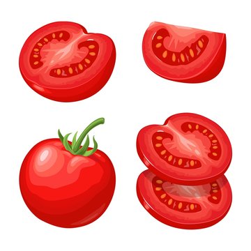 Branch, whole and slice tomatoes. Vector flat color illustration.