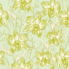 Beautiful Orchid. Hand drawn set on light blue background olive Green pink white contour sketch seamless pattern, card banner design. Vector