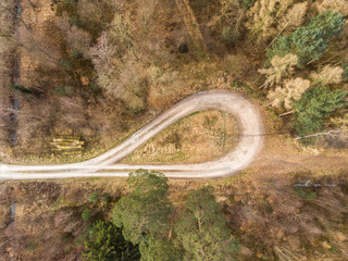 Aerial photograph taken vertically from a turning loop in a forest ridge with large spruce, pine and fir trees, abstract aerial view