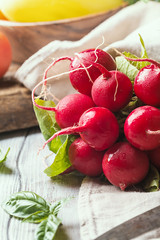 Bunch of fresh radish on dark boards, closeup