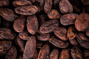 Pattern of the cocoa beans background.