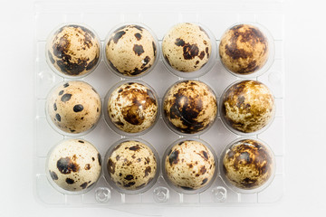 Quail eggs in plastic package. Organic product.