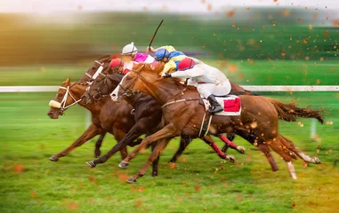 Foto op Plexiglas Race paarden met jockeys op het rechte stuk thuis © Lukas Gojda