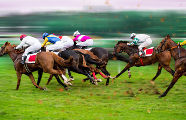 Race paarden met jockeys op het rechte stuk thuis
