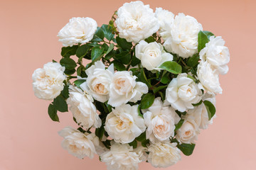 High angle view of bouquet of cream English roses over apricot background (selective focus)