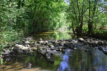 L'Erdre au gué de la Roche