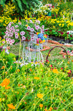 In cozy home garden on summer./ Vintage white bike and flowerpot in cozy home flowers garden on summer.  
