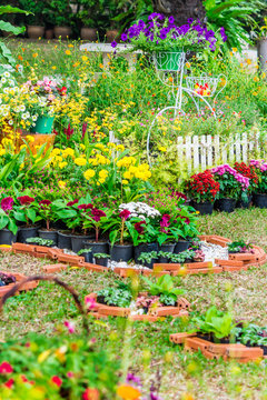 In cozy home garden on summer./ Vintage white bike and flowerpot in cozy home flowers garden on summer.  
