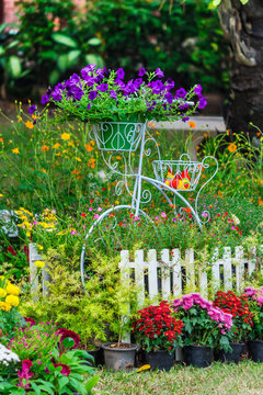 In cozy home garden on summer./ Vintage white bike and flowerpot in cozy home flowers garden on summer.  
