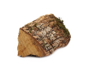 Wood stump, log fire isolated on white background with clipping path