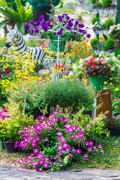 In cozy home garden on summer./ Vintage white bike and flowerpot in cozy home flowers garden on summer.  
