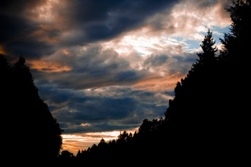 Evening sunset with silhouette of a forest and tree tops. Nice lights and glow. Small clouds - 193944832