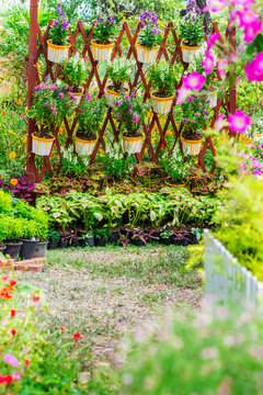 Home cozy garden on summer./ Flower pot in cozy home flower garden on summer.