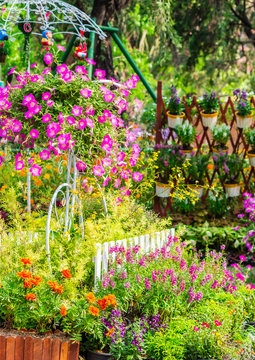 In cozy home garden on summer./ Vintage white bike and flowerpot in cozy home flowers garden on summer.  
