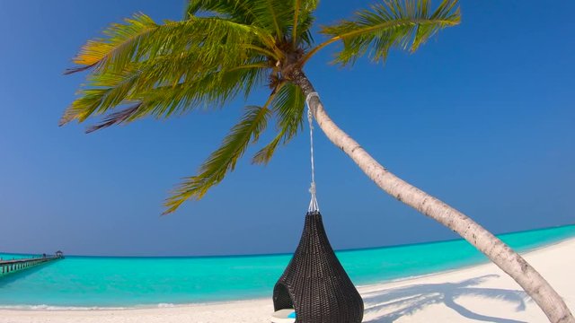 Tropical Paradise Scenery with Blue Water Palm Tree Chair and White Sandy Beach in Maldives 4K
