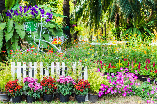 In cozy home garden on summer./ Vintage white bike and flowerpot in cozy home flowers garden on summer.  