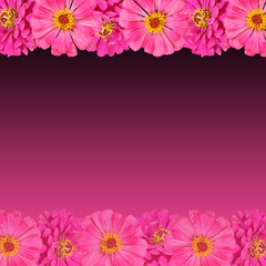 Beautiful floral background of pink tsiny 