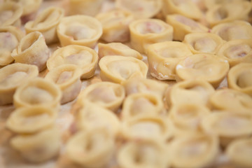 Preparing, cooking, making homemade ravioli, pelmeni or dumplings with meat on . close-up