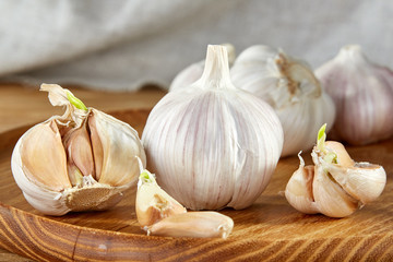 Garlic close up on wooden plate on rustic background, shallow depth of field, selective focus, macro