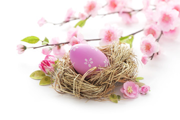 easter eggs in bird's nest and cherry blossom flowers on white background