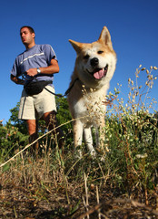 Man and dog in the meadow