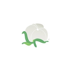 Vector cartoon field abstract white wild flower icon. Meadow garden spring easter women day romantic holiday, wedding invitation card decoration element summer floral Illustration white background