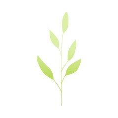 Vector cartoon abstract green plant icon. Wild meadow field grass garden spring easter, women day romantic holiday, wedding invitation card decoration summer floral Illustration white background