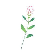 Vector cartoon abstract pink flower icon. Meadow garden spring easter women day romantic holiday, wedding invitation card decoration element summer floral Illustration white background