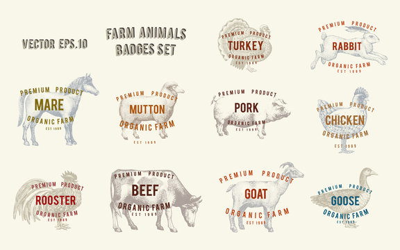 Labels with farm animals. Set templates price tags for shops and markets of organic food. Vector illustration art. Vintage. Hand drawn animals