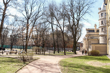 Trees in the spring garden.