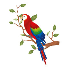 exotic and tropical parrot in branch tree vector illustration design
