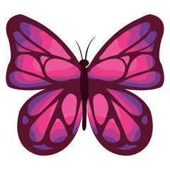 beautiful butterfly decorative icon vector illustration design