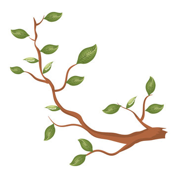 tree branch plant icon vector illustration design