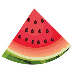 fresh watermelon sliced fruit icon vector illustration design