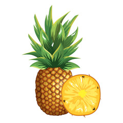 tropical and exotic fruit vector illustration design