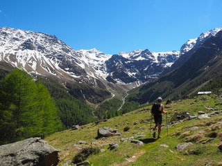 Fototapeta na wymiar Südtirol - Wandern zur Oberen Laaser Alm