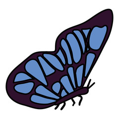 beautiful butterfly decorative icon vector illustration design
