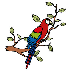 exotic and tropical parrot in branch tree vector illustration design