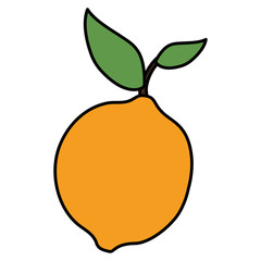 tropical and exotic passion fruit vector illustration design