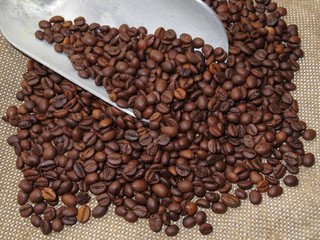Coffee beans in metal scoop on burlap