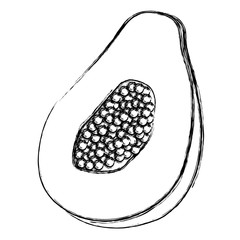 tropical and exotic papaya fruit vector illustration design