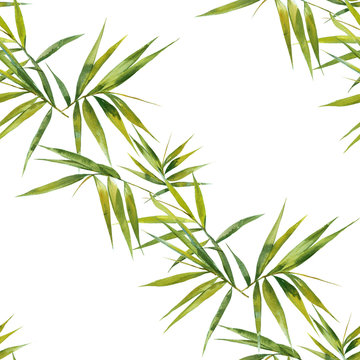 Watercolor illustration of bamboo leaves , seamless pattern on white background