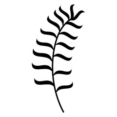 tropical leaf palm icon vector illustration design