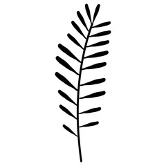 tropical leaf palm icon vector illustration design