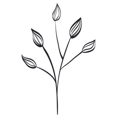 branch with leafs plant ecology icon vector illustration design