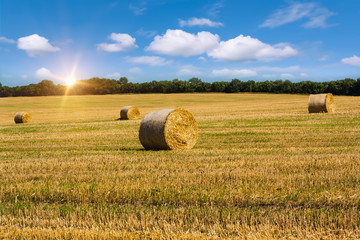 Rural landscape with golden straw bales.