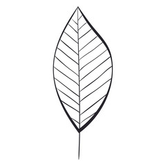 leafs plant ecology icon vector illustration design