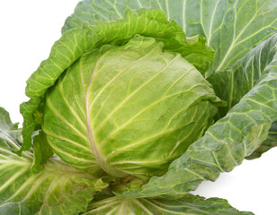 Obraz premium Green cabbage isolated on white background